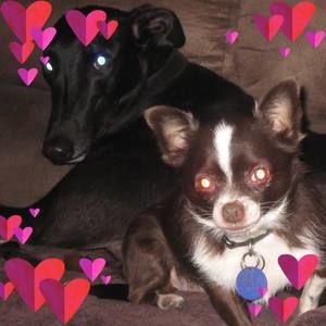 Meet your Posher, Debi